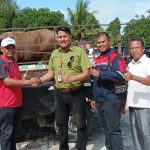 WhatsApp Image 2022-07-10 at 11.25.05