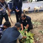 WhatsApp Image 2022-07-12 at 13.59.29