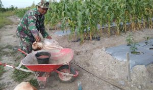 WhatsApp Image 2022-07-13 at 17.44.54