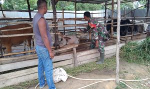 WhatsApp Image 2022-07-14 at 17.36.23