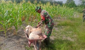 WhatsApp Image 2022-07-16 at 22.34.06