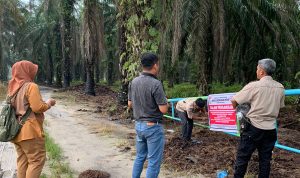 WhatsApp Image 2022-08-20 at 14.24.45