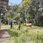 1702435499-picsay