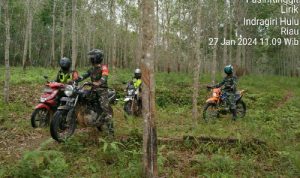 1706338341-picsay
