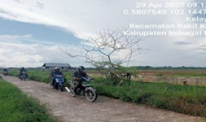 1745906336-picsay