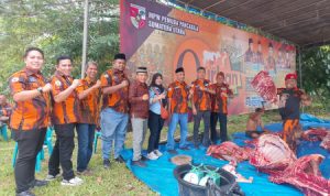 WhatsApp Image 2025-06-07 at 12.02.53